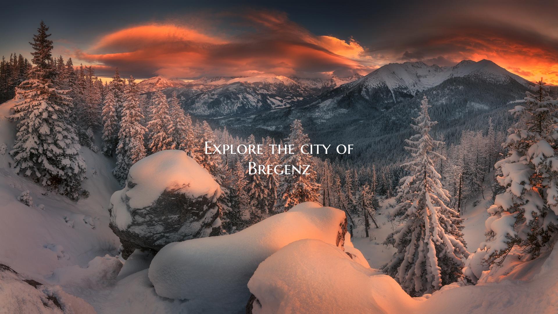 Explore the city of Bregenz
