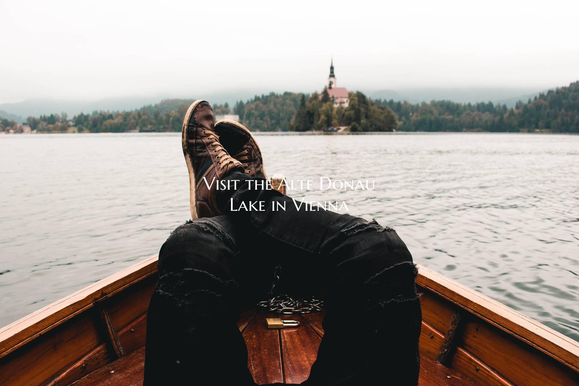 Visit the Alte Donau Lake in Vienna